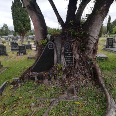 ? Sophia Catharina nee JORDAAN 1908-197?