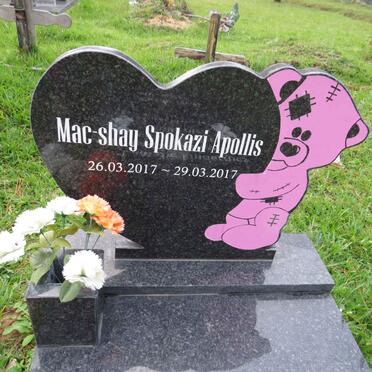 APOLLIS Mac-shay Spokazi 2017-2017