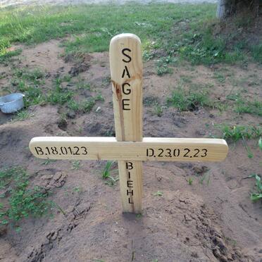 BIEHL Sage 2023-2023