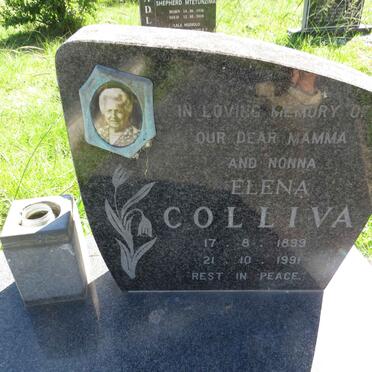 COLLIVA Elena 1899-1991