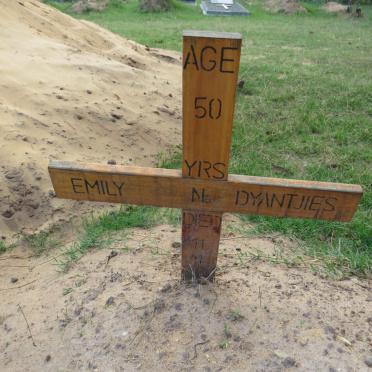 DYANTJIES Emily N.