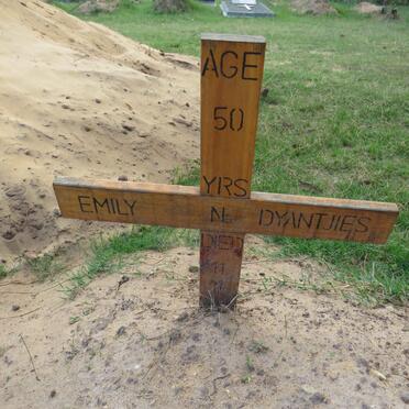 DYANTJIES Emily N.