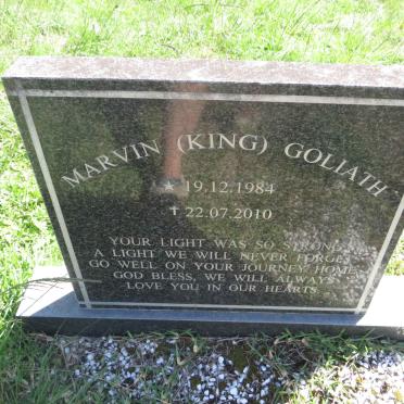 GOLIATH Marvin 1984-2010