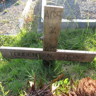 HEYNS Loudene N. 