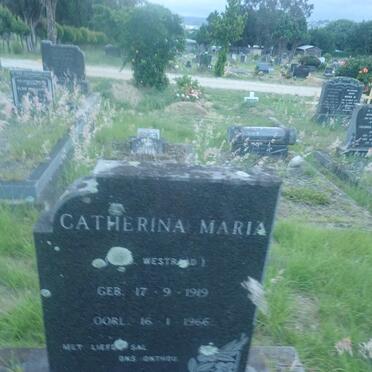 KO? Catherina Maria nee WESTRAAD 1919-1966