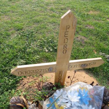 PEDRO Eugene 1996-2022