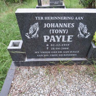 PAYLE Johannes 1959-2008