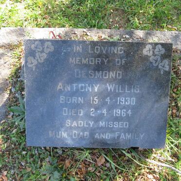 WILLIS Desmond Antony 1930-1964