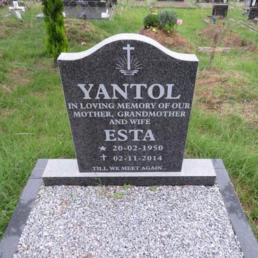 YANTOL Esta 1950-2014
