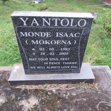 Y - Surnames :: Vanne - Y