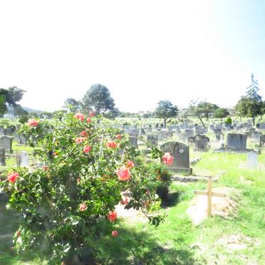 1. Overview / Oorsig