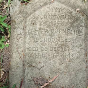 SCHOONEES Pieter Cornelius 1874-1910