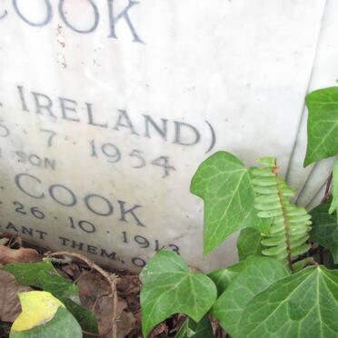 COOK William 1875-1946 &amp; Martha MAY 1870-1954 ::  COOK John  E. 1913-1913