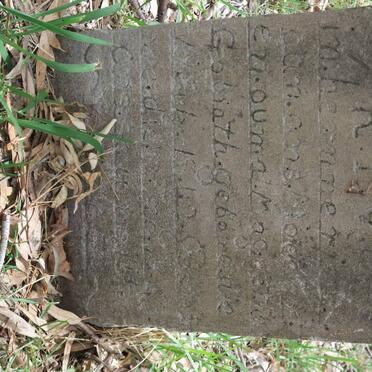 GOLIATH Magaretha 1842