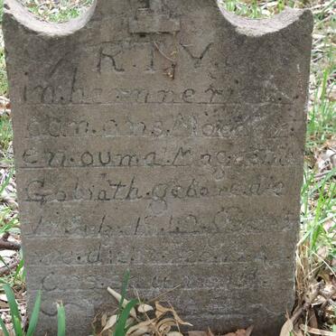 GOLIATH Magaretha 1842