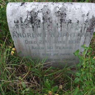 HARTUNG Andrew F.K. -1931