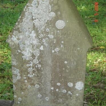 LEVENDAL  Arthur W. 1900-1904