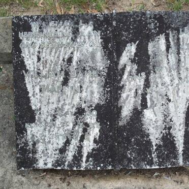 MARTIN William James 1930-19?6