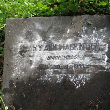 MACKINTOSH Mary Ann nee MILLS -1955