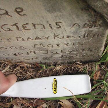 MORRIS Johanna 1944-