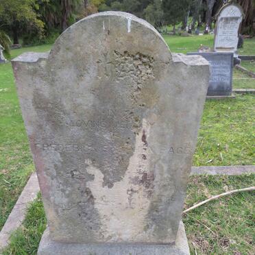 P - Vanne :: Surnames - P