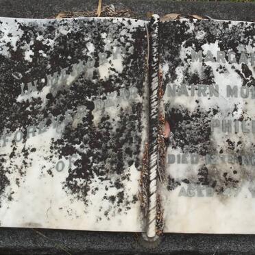 PHILP Margeret Nairn Mol?son  -1956