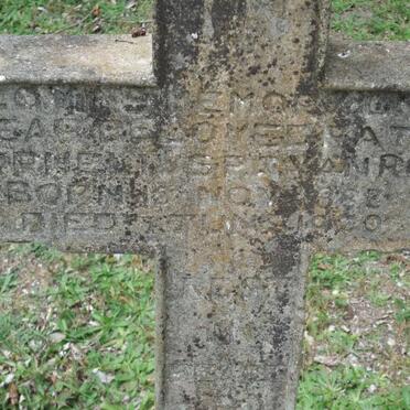 ROOYEN Cornelius P., van 1883-1930