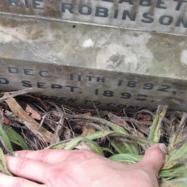 ROBINSON Elsie Postle 1892-1893