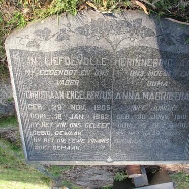 STANDER :: JONCK _02