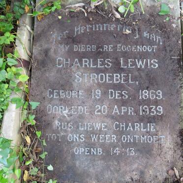 STROEBEL Charles Lewis 1869-1938