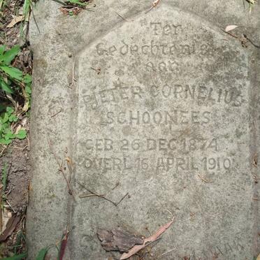 SCHOONEES Pieter Cornelius 1874-1910