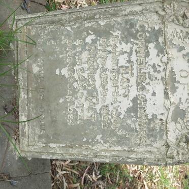 TAIT Cornelis Johannes 1901-1922 :: TAIT Nancy 1921-1924