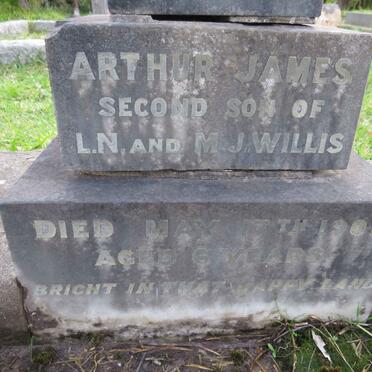 WILLIS Arthur James -1901