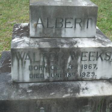 WEEKS Albert Walter 1867-1929