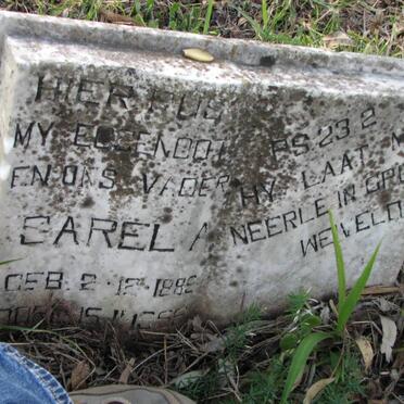 ? Sarel A. 1889-1956