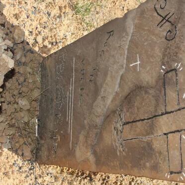 RHYN P.B., van 1875-1956