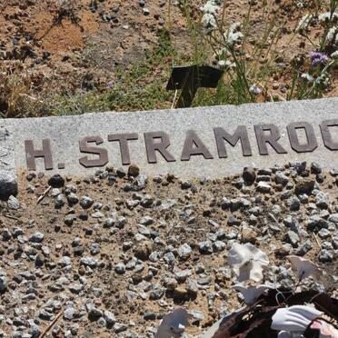 STRAMROOD H.