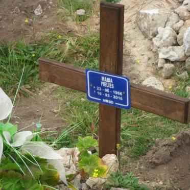 FIELIES Maria 1966-2016