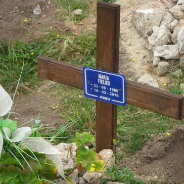 FIELIES Maria 1966-2016
