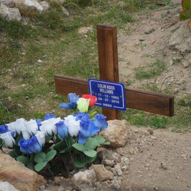 WILLIAMS Colin Koos 1983-2016