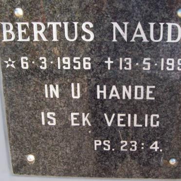 NAUDE Bertus 1956-1999