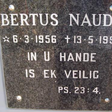 NAUDE Bertus 1956-1999
