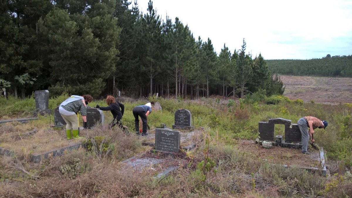 6. Volunteers cleaning the cemetery up