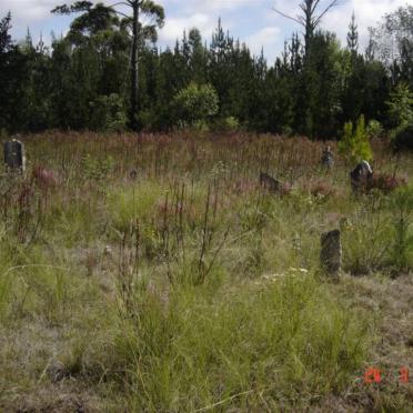 2. Graveyard overview