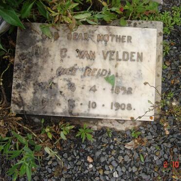 VELDEN Johanna C., van nee REID 1898-1908