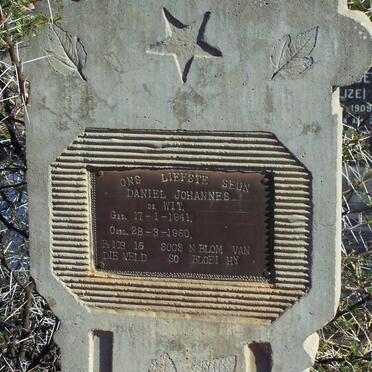 WIT Daniel Johannes, de 1941-1950