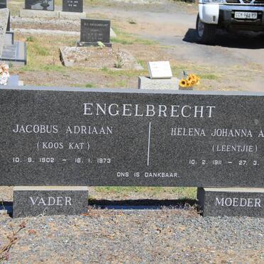 E - Surnames :: Vanne - E