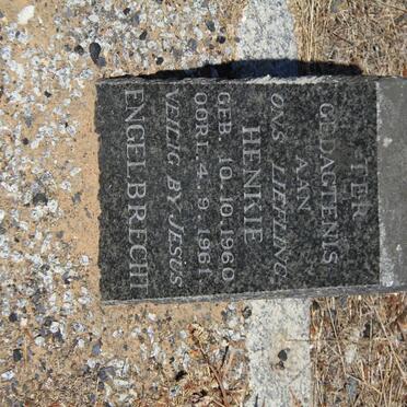 SWANEPOEL Henkie 1960-1961