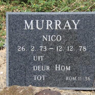 MURRAY Nico 1973-1978
