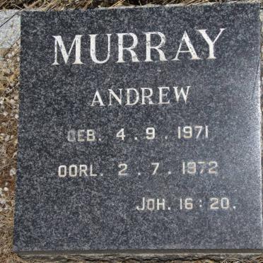 MURRAY Andrew 1971-1972
